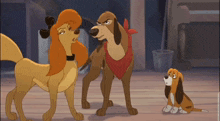 Dixie And Cash Fox And The Hound 2 GIF - Dixie And Cash Fox And The Hound 2 GIFs