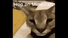 Hop On Minecraft Floppa GIF - Hop On Minecraft Floppa Minecraft GIFs