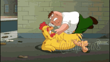 fighting chicken peter griffin family guy
