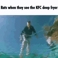 Rats When GIF - Rats When They GIFs