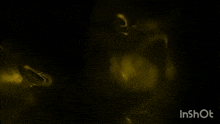 a black background with the words hap task in yellow letters