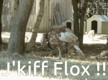 Flox Vivis J Kiff F Lox GIF - Flox Vivis J Kiff F Lox Turkey GIFs