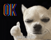 a dog is giving a thumbs up with the words ok bruuuuu below it