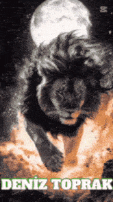 a picture of a lion with the name deniz toprak written below it