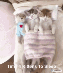 Sleep Kittens GIF - Sleep Kittens Time GIFs