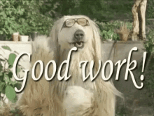 Good Work Dog GIF - Good Work Dog Clapping GIFs