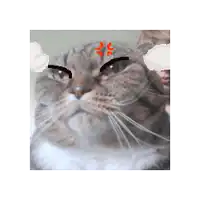 a pixelated image of a cat with a red angry face