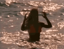Summer Beach GIF - Summer Beach Swim GIFs