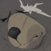 a close up of a bear 's face with a bird flying over it