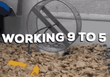 9 To 5 GIF - 9to5 Working9to5 GIFs