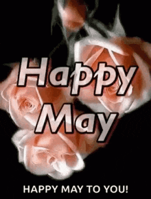 a happy may to you greeting card with roses on a black background