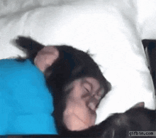 Wake Up Monkey Wake Up GIF - Wake Up Monkey Wake Up Wake Up Monkey GIFs