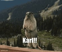 Karl Scream Karl GIF
