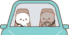 two cats are sitting in the back seat of a blue car .