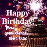 a birthday card with a cupcake and sparklers and the words " happy birthday may your wishes come true "