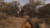 a person holding a shotgun in a video game with trees in the background