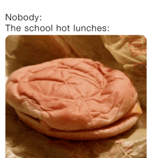 a picture of a sandwich with the caption " nobody : the school hot lunches : "