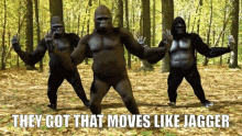 They Got That Moves Like Jagger GIF - They Got That Moves Like Jagger GIFs