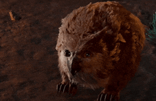 Owlbear Owlbear Cub GIF - Owlbear Owlbear Cub Baldurs Gate 3 GIFs