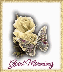 Good Morning Butterfly GIF