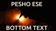 Pesho GIF - Pesho GIFs