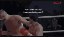 rocky buongiornissimo fight punch