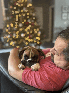 a man in a red shirt is holding a boxer dog