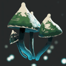 wiggly green mushrooms risk of rain2
