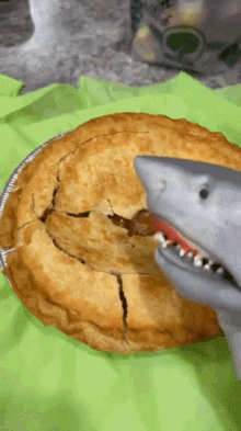 shark puppet apple pie pie coming out of pie scary
