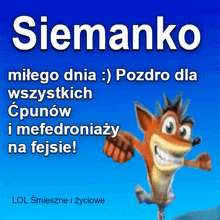 a blue poster with a crash bandicoot on it and the name siemanko