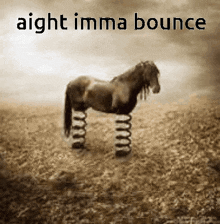 a horse with springs on its legs standing in a field