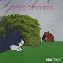 a cartoon of tom and jerry laying in the grass