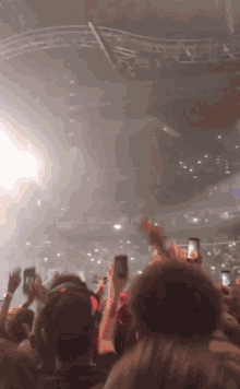 Travis Crowd GIF - Travis Crowd Concert GIFs