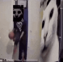 a person is standing in a room with a picture of a cat on their face .