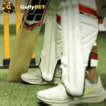 Gullybet Indian Cricket GIF - Gullybet Indian Cricket Cricket GIFs