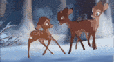 Bambi And Ronno GIF