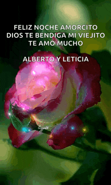 a purple and white rose with the words feliz noche amorcito dios te bendiga mi viejo te amo mucho alberto y leticia