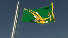 a green and gold flag with a sword and stars