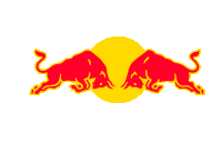 Staring Red Bull Sticker - Staring Red Bull Focused - Discover & Share GIFs