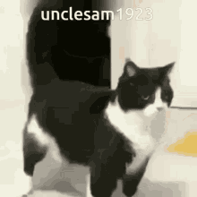 Unclesam1923 GIF - Unclesam1923 GIFs
