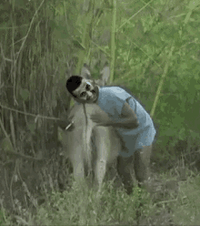 GIF
