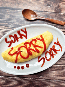 a plate of food with ketchup written on it that says sorry