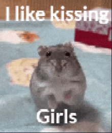 a hamster with the words i like kissing girls on the bottom