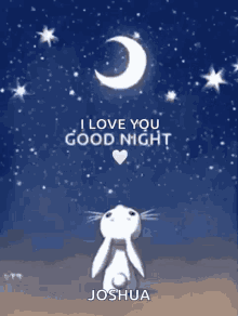 good night bunny watching moon stars