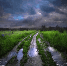 Rainy Landscape GIF - Rainy Rain Landscape GIFs