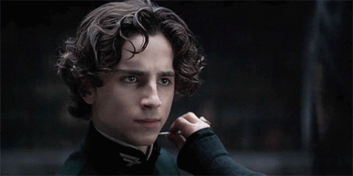 FAIRE VALIDER SON PERSONNAGE Timothee-chalamet