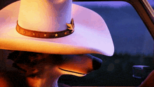 a wolf wearing a cowboy hat with stars on it