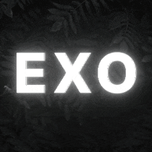 a black and white photo of the word exo