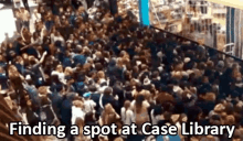 Finding A Spot At Case Library GIF - Colgate University Case Library Finding A Spot GIFs