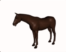 Horse Neck GIF - Horse Neck Mew GIFs
